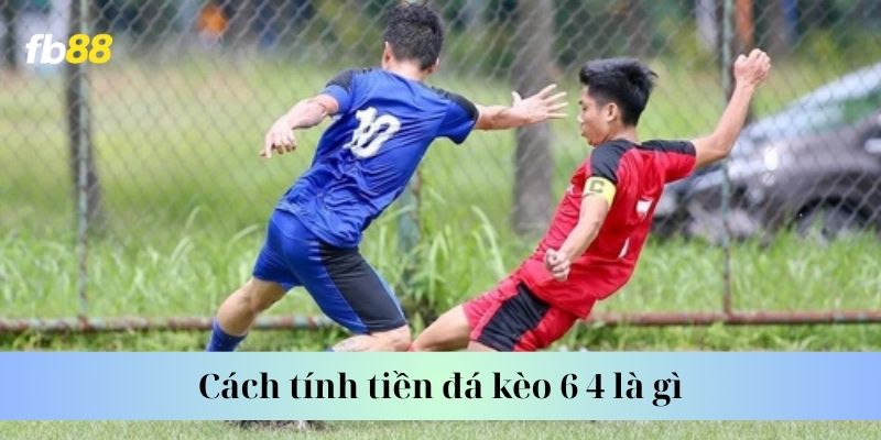 Cách tính tiền đá kèo 6 4 là gì