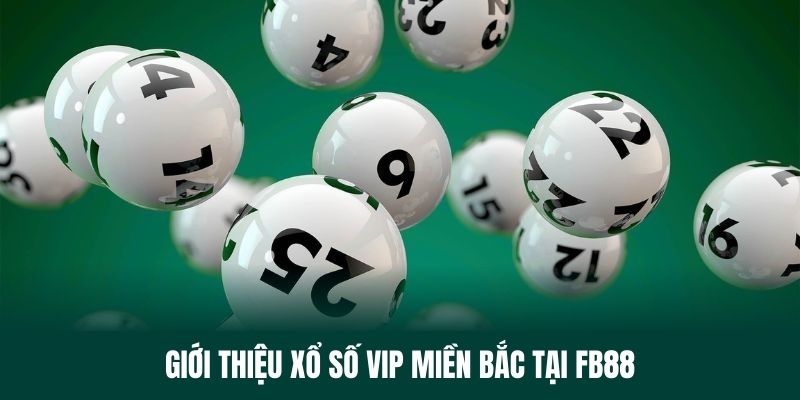 Tìm hiểu sơ lược về xổ số vip miền Bắc tại FB88